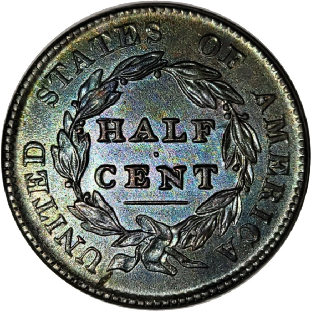 1828-1/2c-Classic-Head-Half-Cent-#5